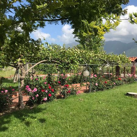 Alma Migrante Bed&Wine Otel Telese Dış mekan fotoğraf