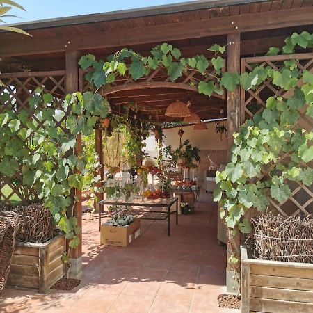 Alma Migrante Bed&Wine Otel Telese Dış mekan fotoğraf