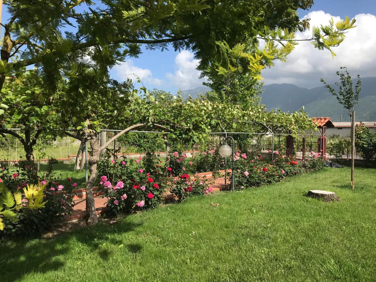 Alma Migrante Bed&Wine Otel Telese Dış mekan fotoğraf