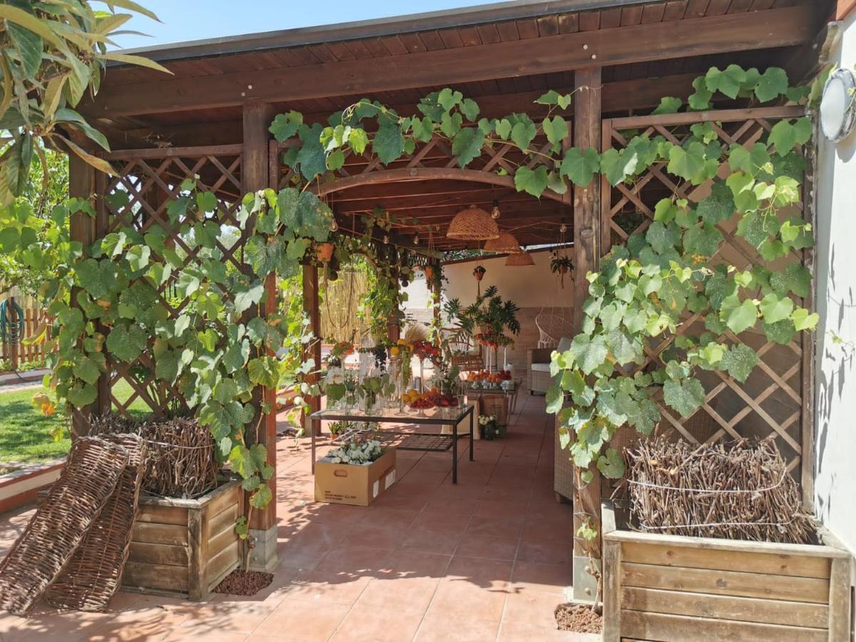Alma Migrante Bed&Wine Otel Telese Dış mekan fotoğraf