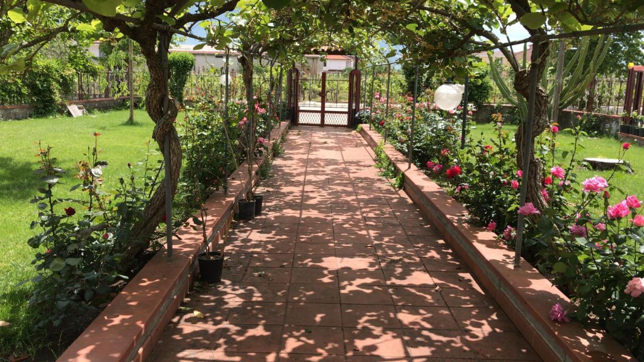 Alma Migrante Bed&Wine Otel Telese Dış mekan fotoğraf